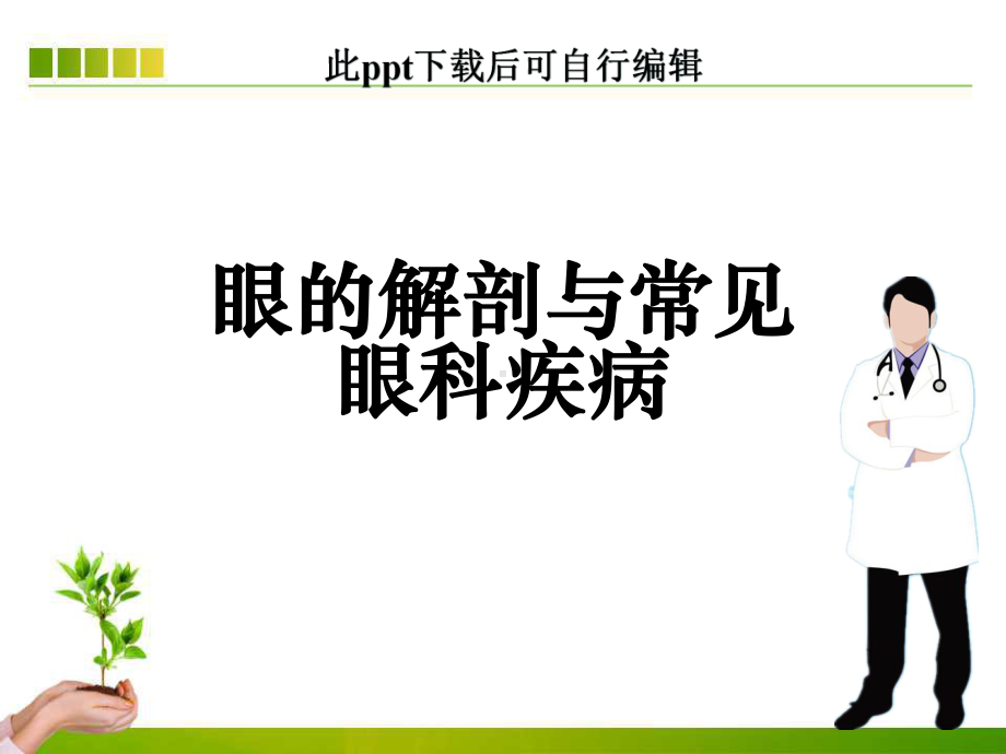 眼的解剖与常见眼科疾病课件.ppt_第1页