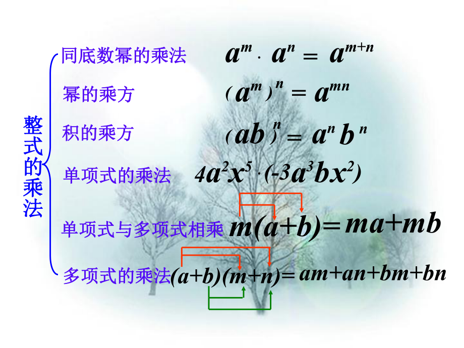 整式的乘法和乘法公式优秀课件.ppt_第3页