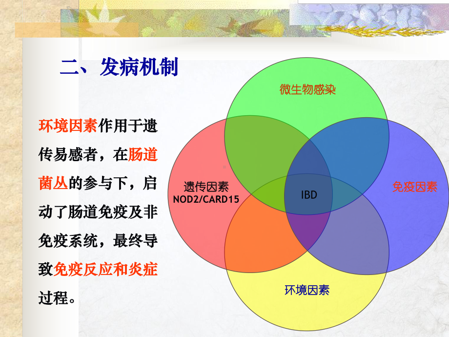 炎症性肠病精讲课件.pptx_第1页