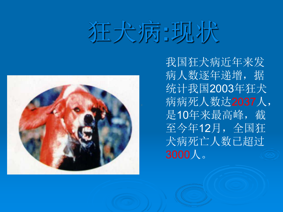 狂犬病疫苗、治疗抗体及其诊断课件.ppt_第3页