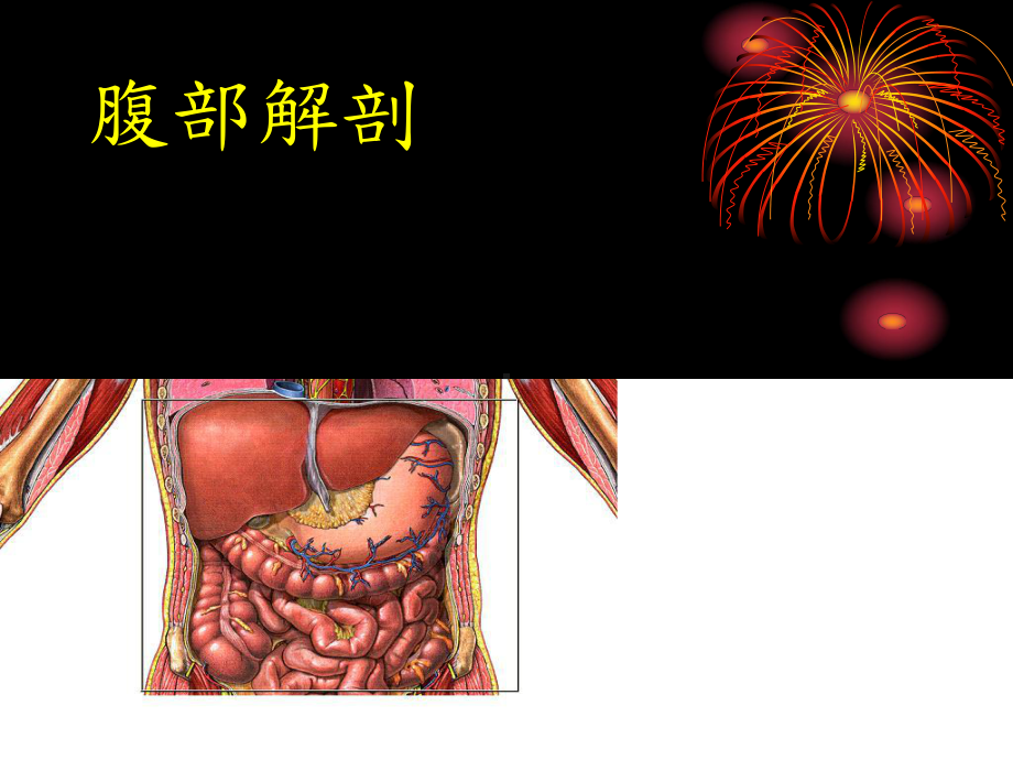 急腹症的诊断与治疗课件.ppt_第3页