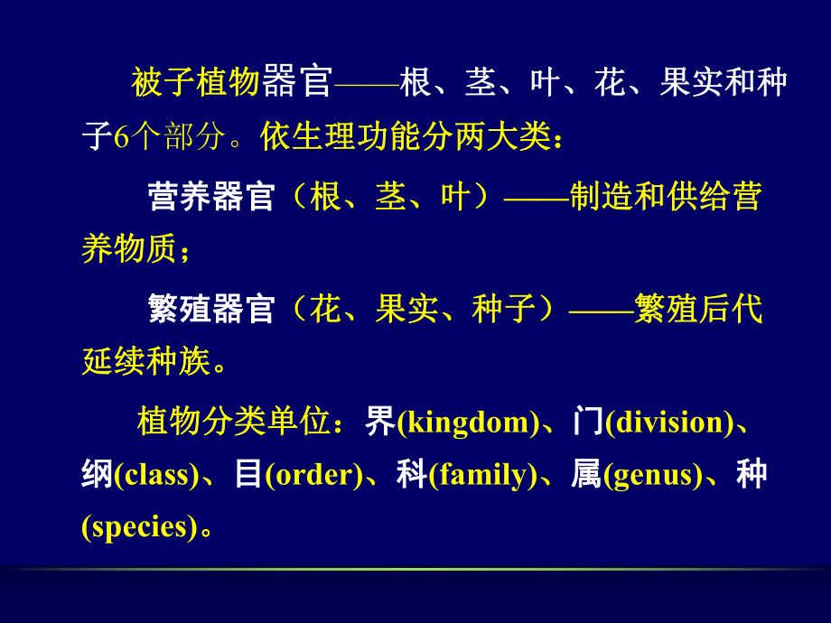 植物解剖学基础[精]课件.ppt_第2页