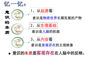 意识的作用详解课件.ppt