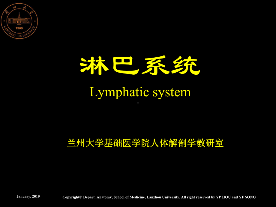 淋巴系统0-课件.ppt_第1页