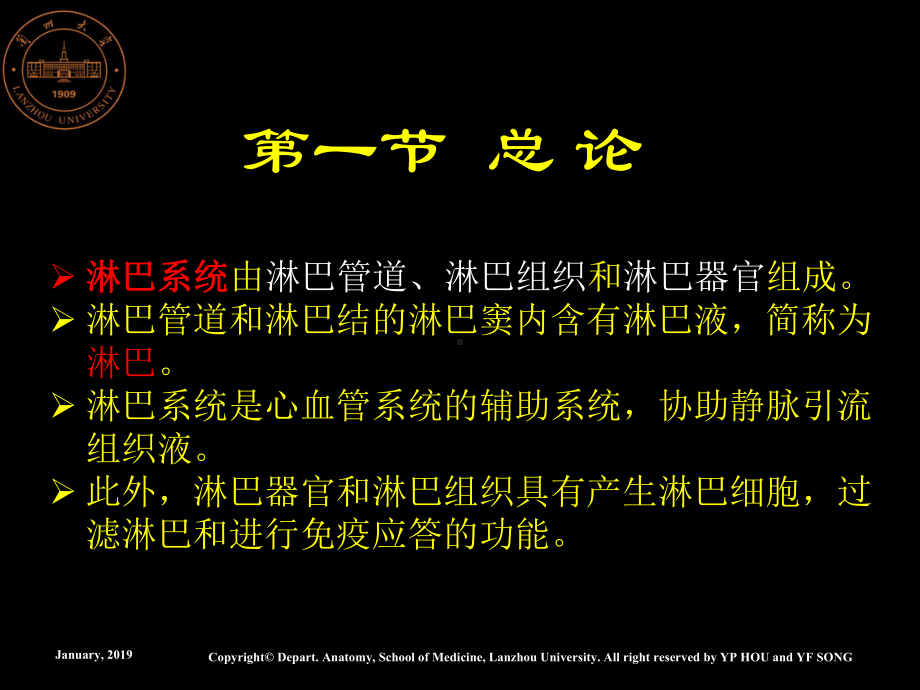 淋巴系统0-课件.ppt_第3页