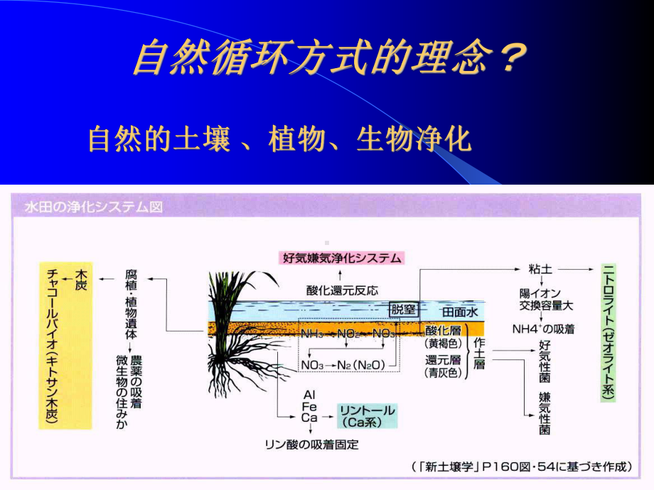 日本自然循环方式水处理系统课件.ppt_第3页