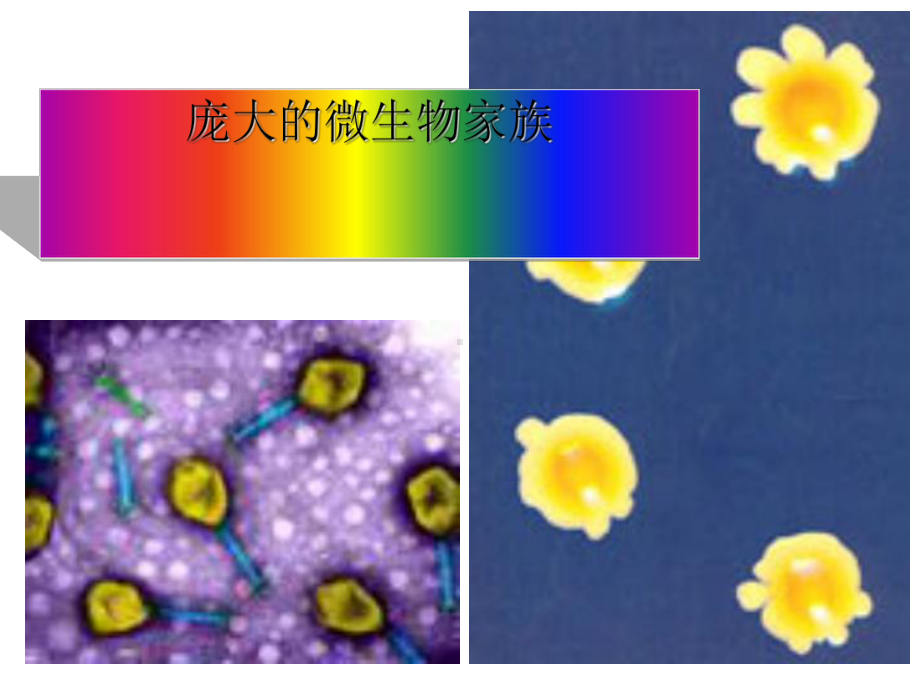 微生物基础知识全面版课件.ppt_第1页