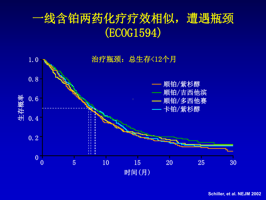 晚期nsclc一线选择-课件.ppt_第2页