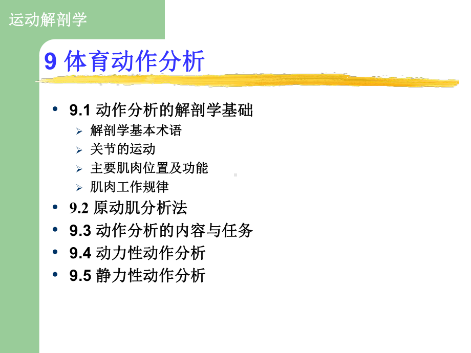 最新-体育动作分析-课件.ppt_第2页