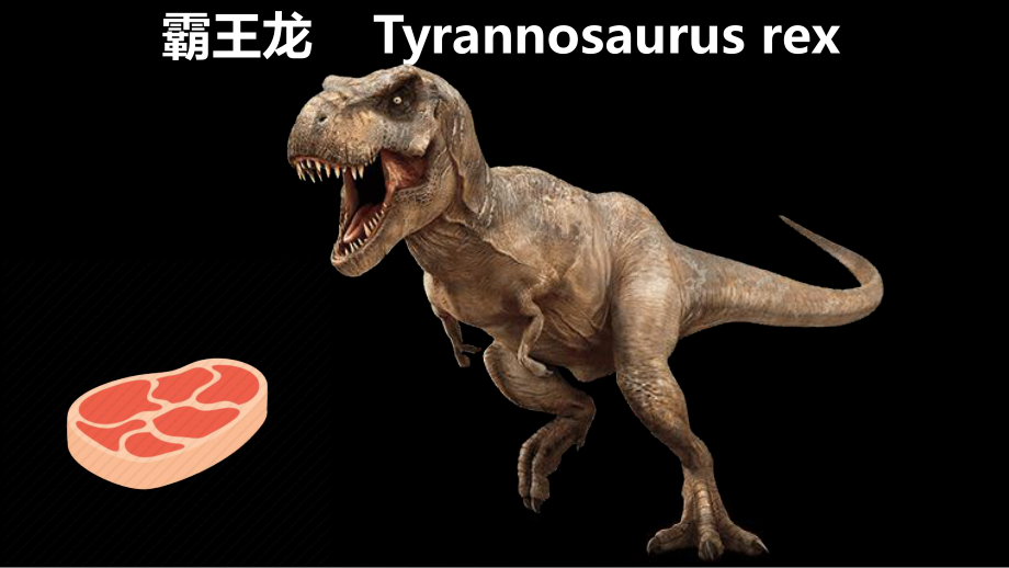 恐龙种类中英文对照dinosaurflashcards课件.ppt_第2页