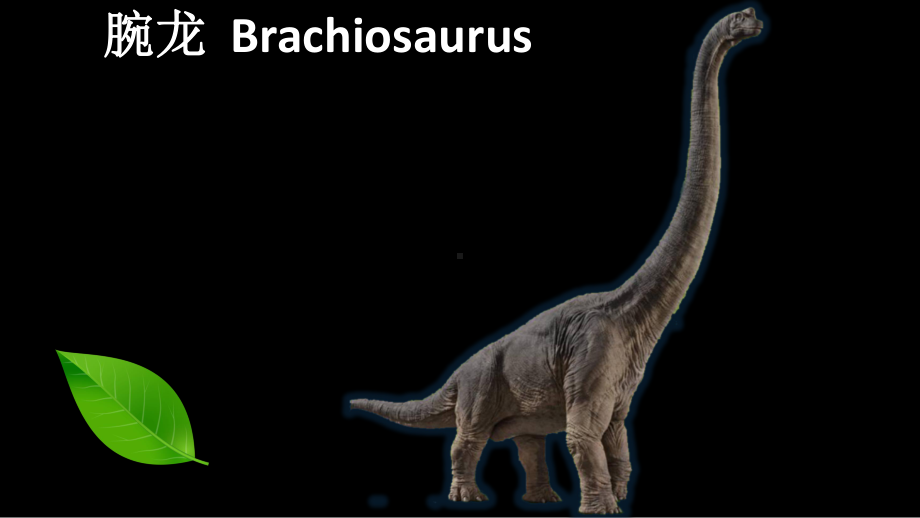 恐龙种类中英文对照dinosaurflashcards课件.ppt_第3页