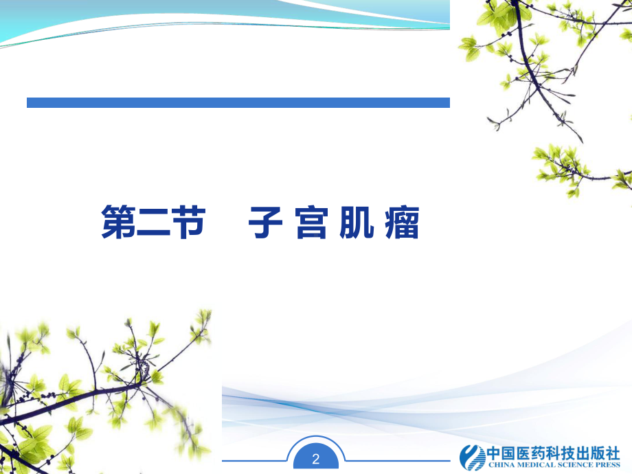 子宫肌瘤课件.ppt_第2页