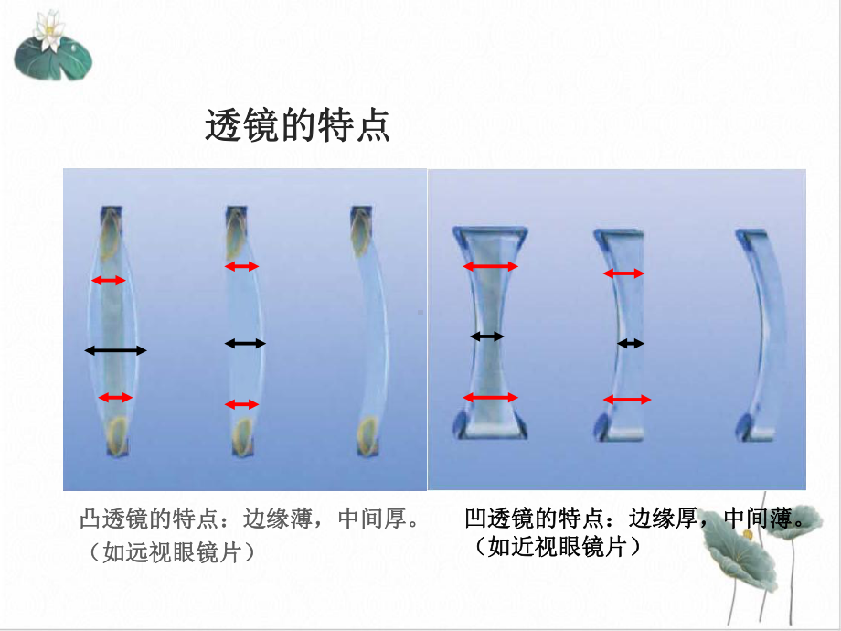 浙教版七年级下科学《透镜和视觉》课堂课件4.ppt_第3页