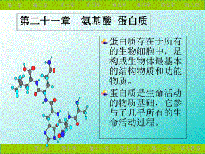 氨基酸与蛋白质课件.ppt