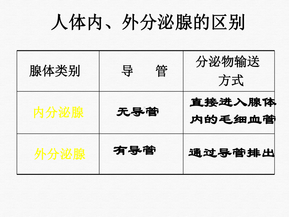 激素和神经复习课件.pptx_第1页