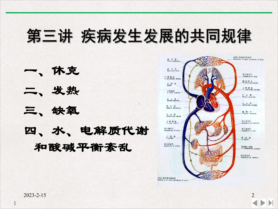 疾病发生的共同规律(最新版)课件.pptx_第2页