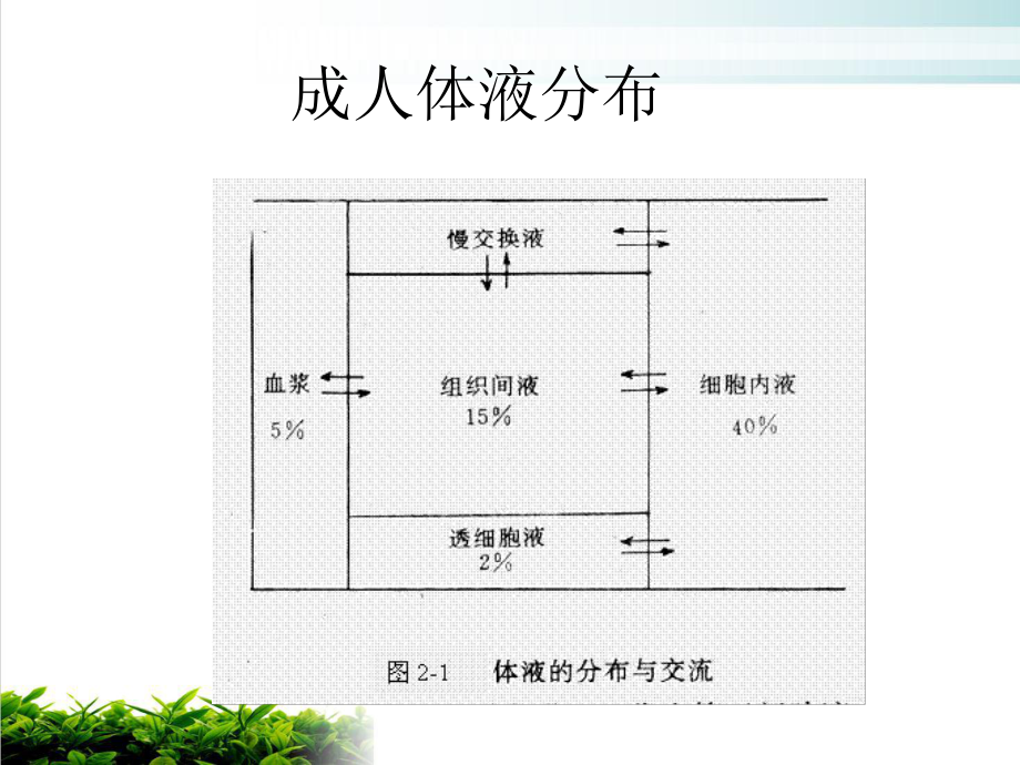 生儿水电解质代谢紊乱培训课件.ppt_第2页