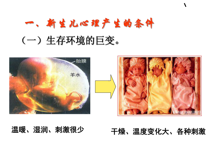 消费心理学三四章课件.ppt_第3页