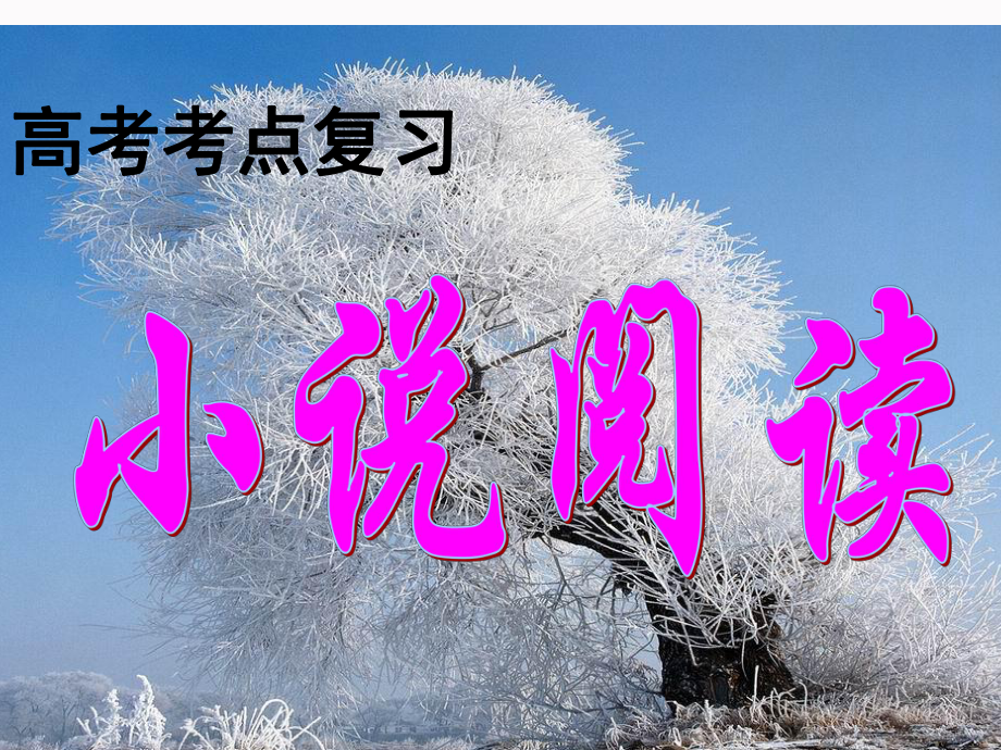 小说专题公开课课件.ppt_第1页