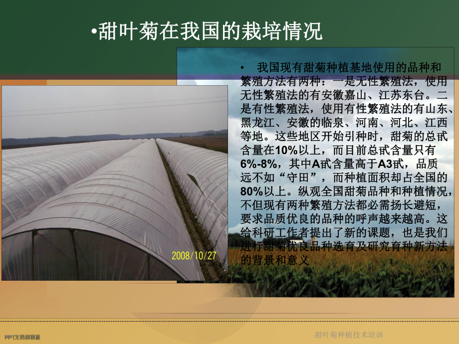 甜叶菊种植技术培训课件.ppt_第3页