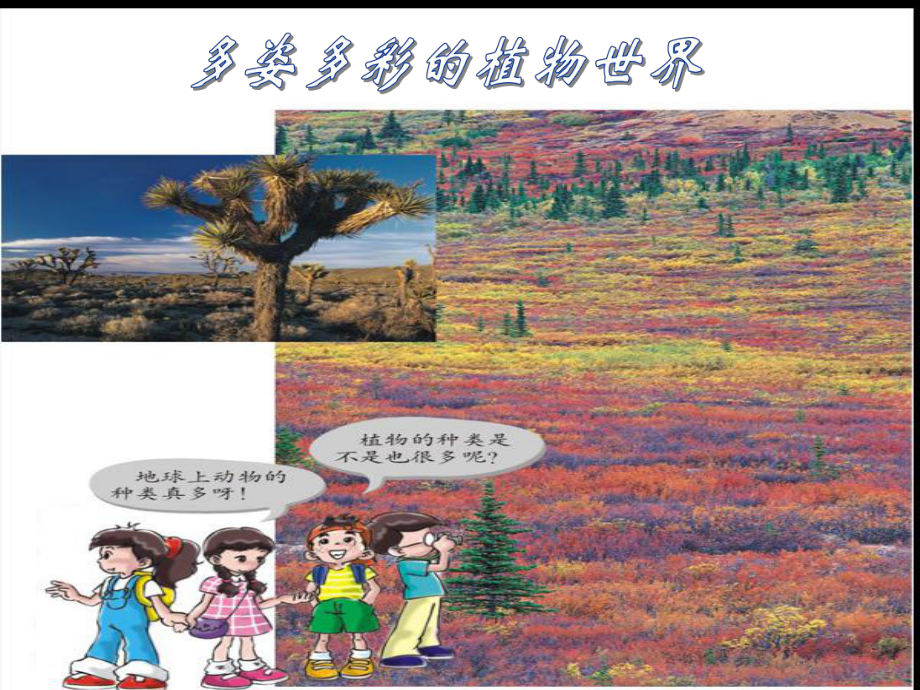 多姿多彩的植物世界课件.ppt_第1页