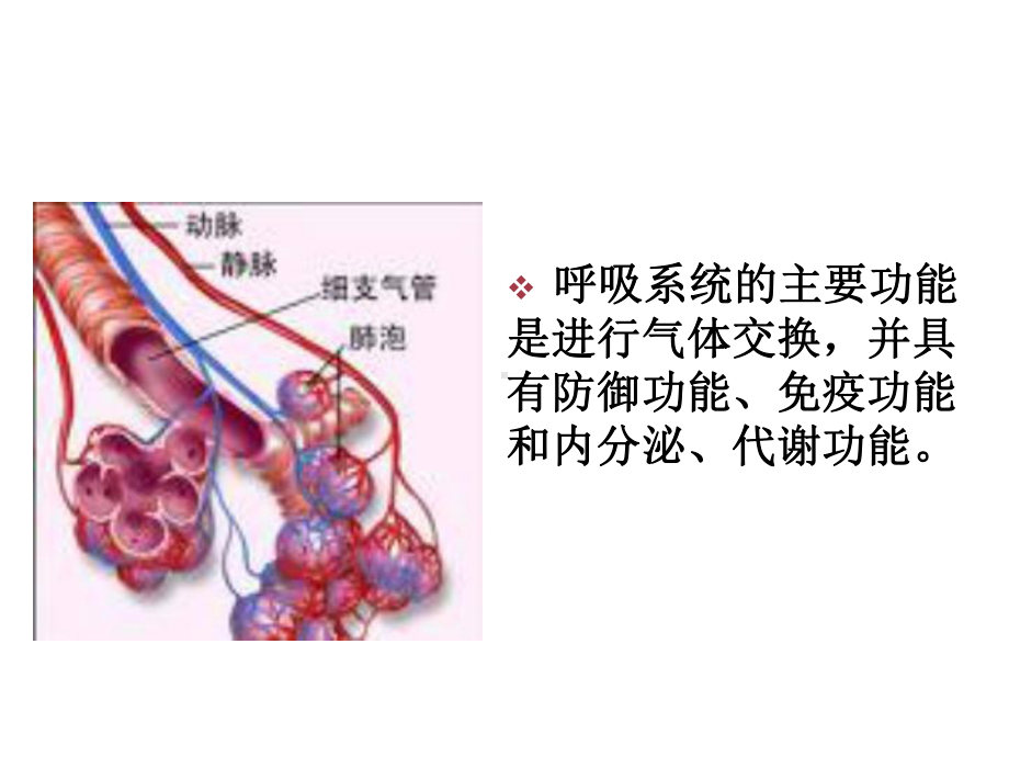 呼吸系统疾病病人的护理2节课件.ppt_第3页