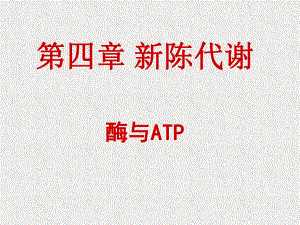 磷酸肌酸又会将能量传递给ADP合成ATP2课件.ppt