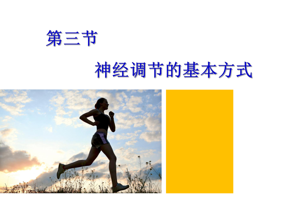 神经调节的基本方式-完整版课件.ppt_第3页