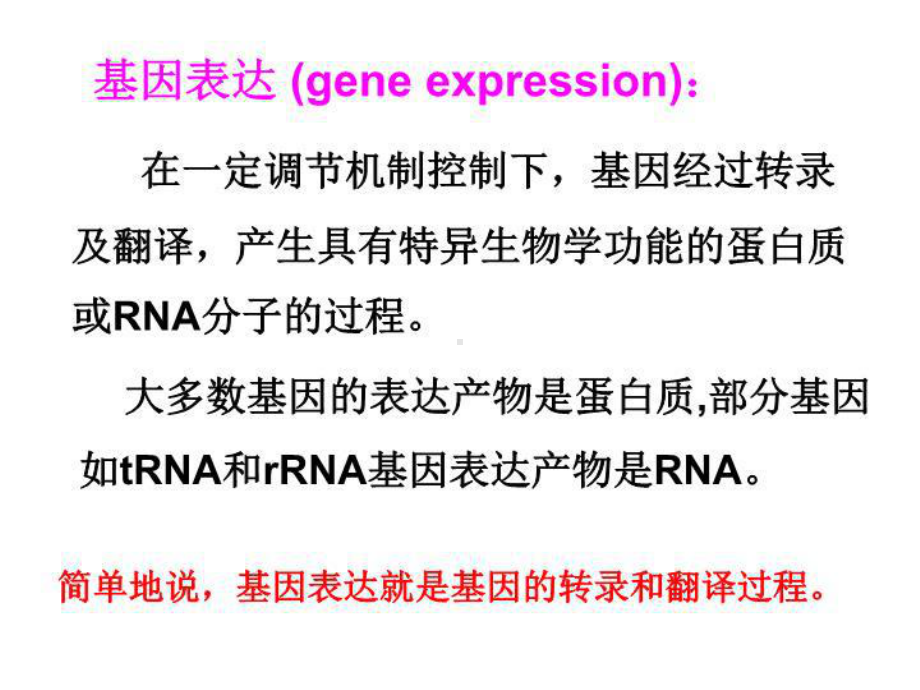 最新基因表达与调控08课件.ppt_第3页