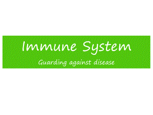 抗生素英文课件-Immune-System.ppt