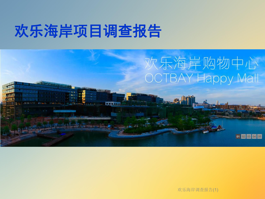 欢乐海岸调查报告课件1.ppt_第2页