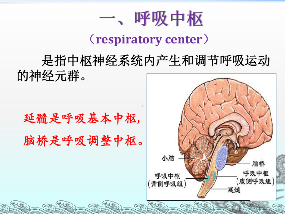 呼吸调节-课件.ppt_第3页