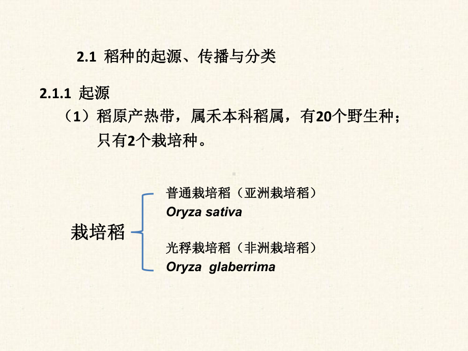 水稻栽培的生物学基础知识讲稿课件.ppt_第2页