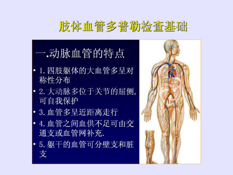 周围血管超声检查课件.ppt_第3页