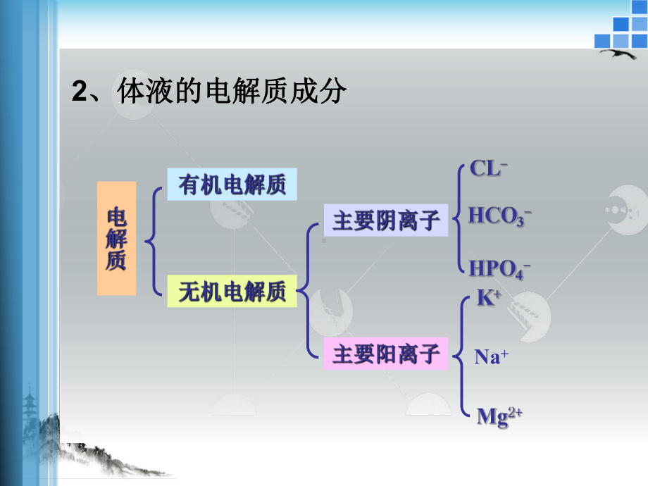 水电解质紊乱多课件.pptx_第2页