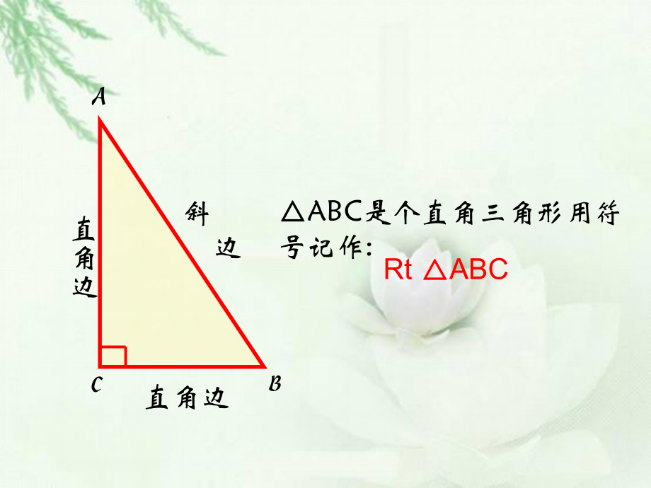 直角三角形课件6-北师大版.ppt_第2页