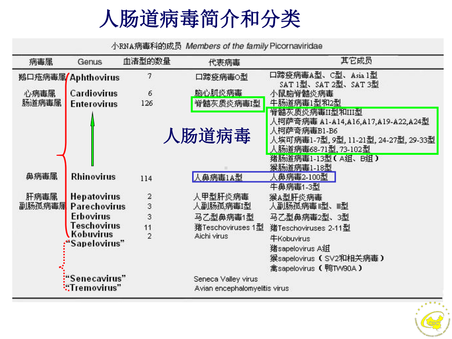 手足口病流行病和病毒学特征课件.ppt_第2页