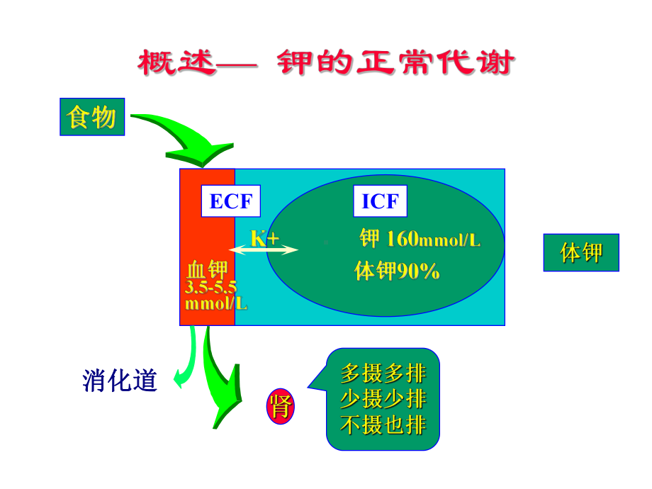 病理生理学-钾代谢障碍概要课件.ppt_第3页