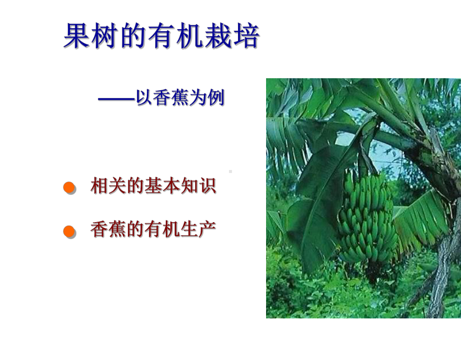 果树的有机栽培-以香蕉为例--园艺植物有机栽培-教学课件.ppt_第1页