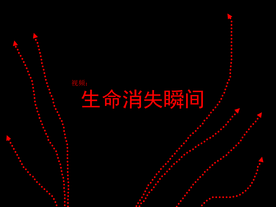 女性安全出行课件.ppt_第2页