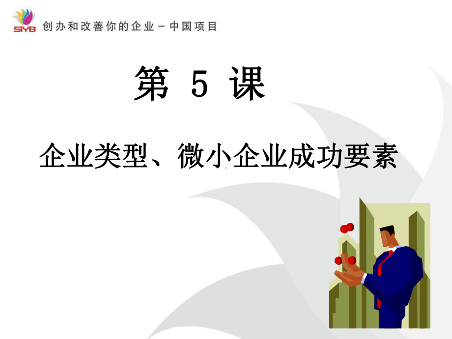 企业类型、微小企业成功要素演示教学课件.ppt_第1页