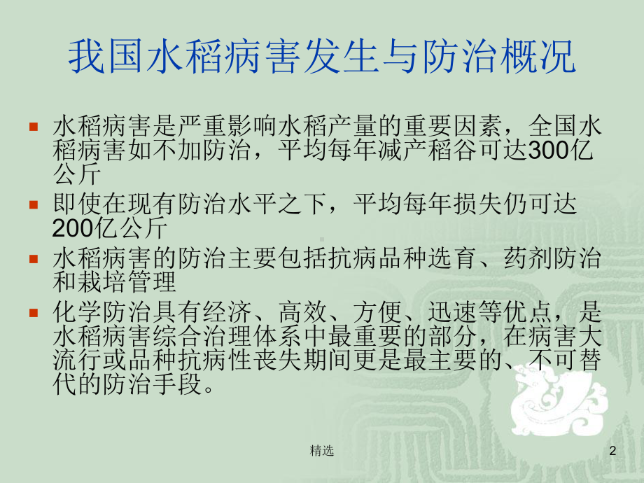 新版水稻主要病害的发生及杀菌剂应用培训课件.ppt_第2页