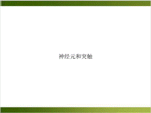 神经元和突触培训讲义课件.ppt