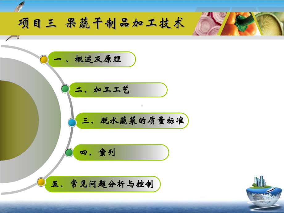 果蔬干制品加工技术培训课件.pptx_第1页