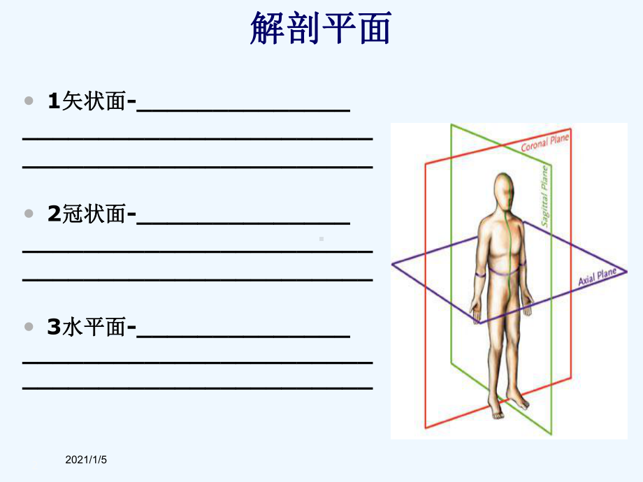 私人健身教练课程第二章解剖学课件.ppt_第2页