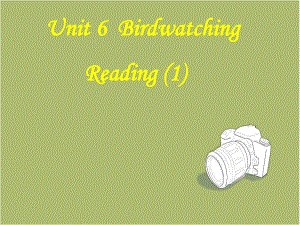 牛津译林版8A-Unit6-Birdwatching-reading课件.ppt（纯ppt,可能不含音视频素材）