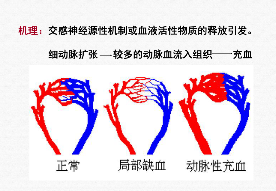 浅双语血循双语二课件.pptx_第3页