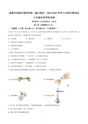 四川省成都市实验外国语 （温江校区）2022-2023学年九年级上学期期中化学试题.docx