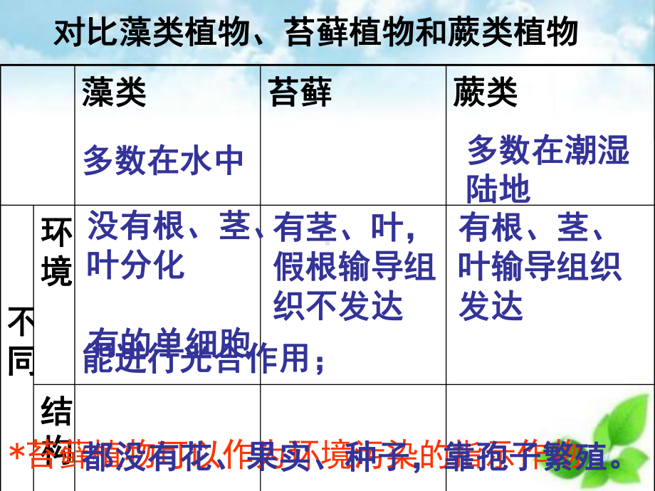 种子植物课件.ppt_第1页