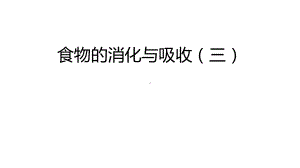 浙教版科学九上：食物的消化与吸收课件.pptx